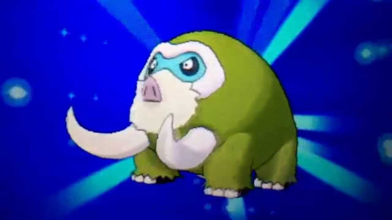 shiny mamoswine