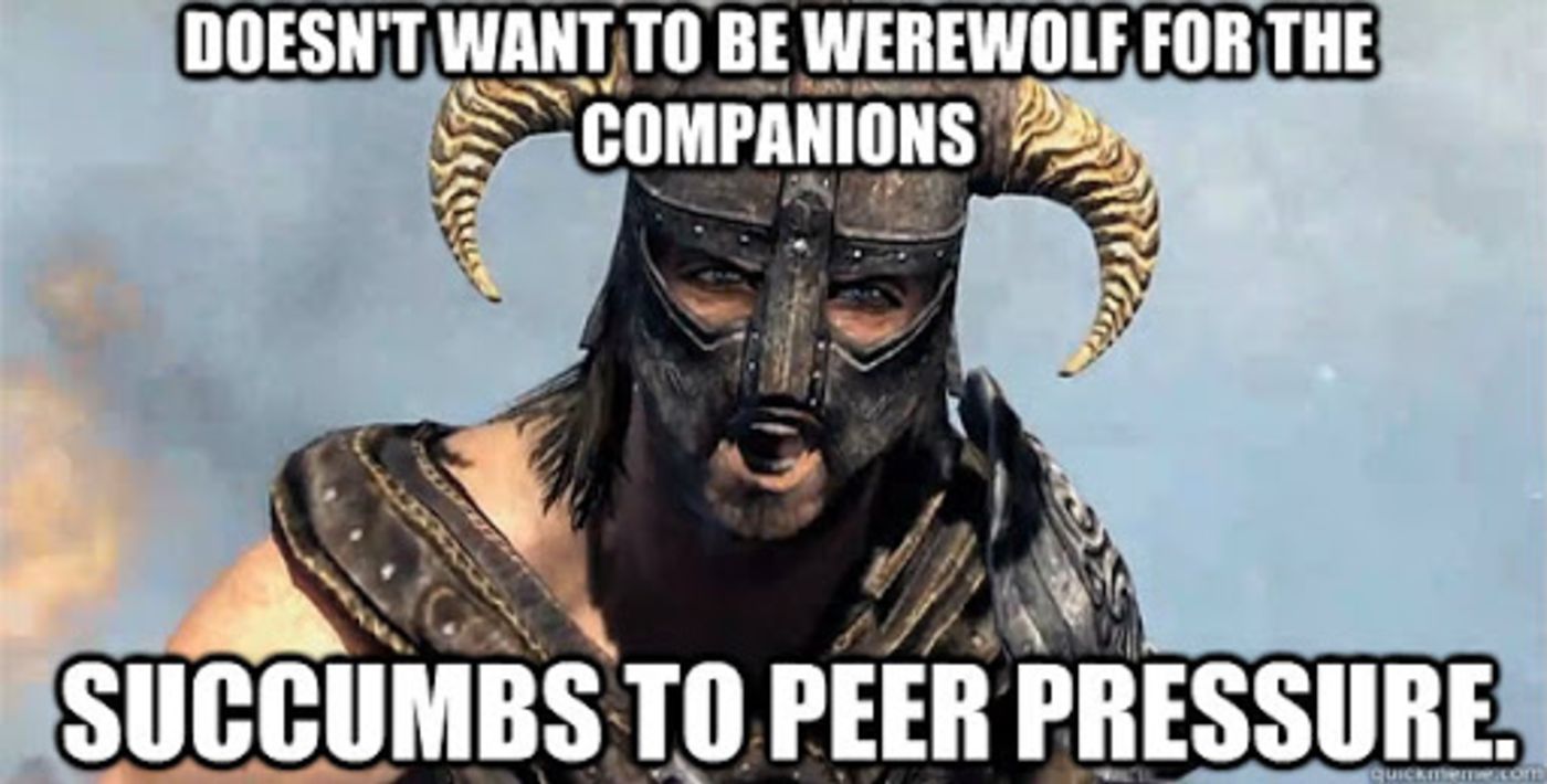 Skyrim companions and the dragonborn meme