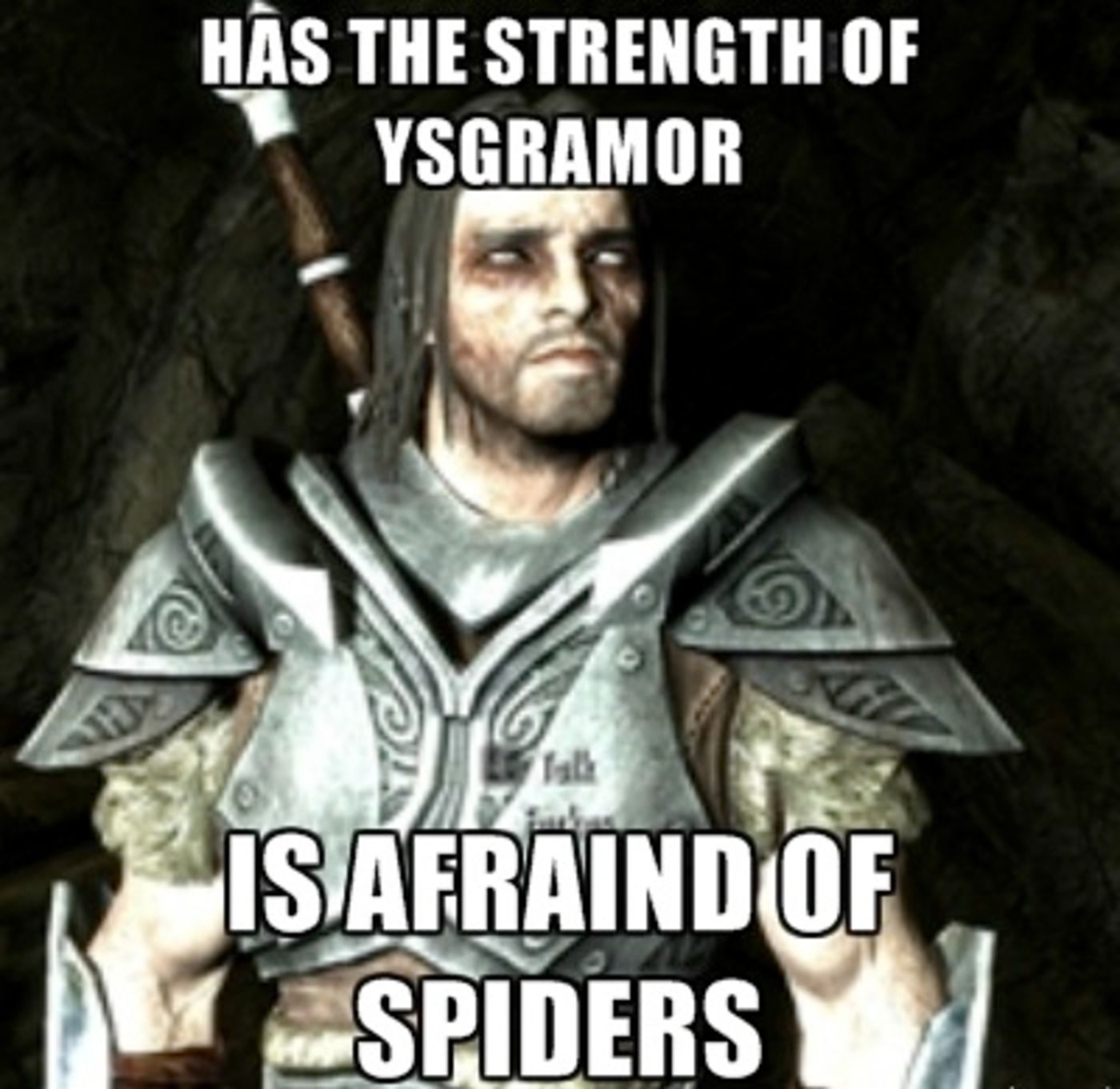 Skyrim farkas and spiders meme