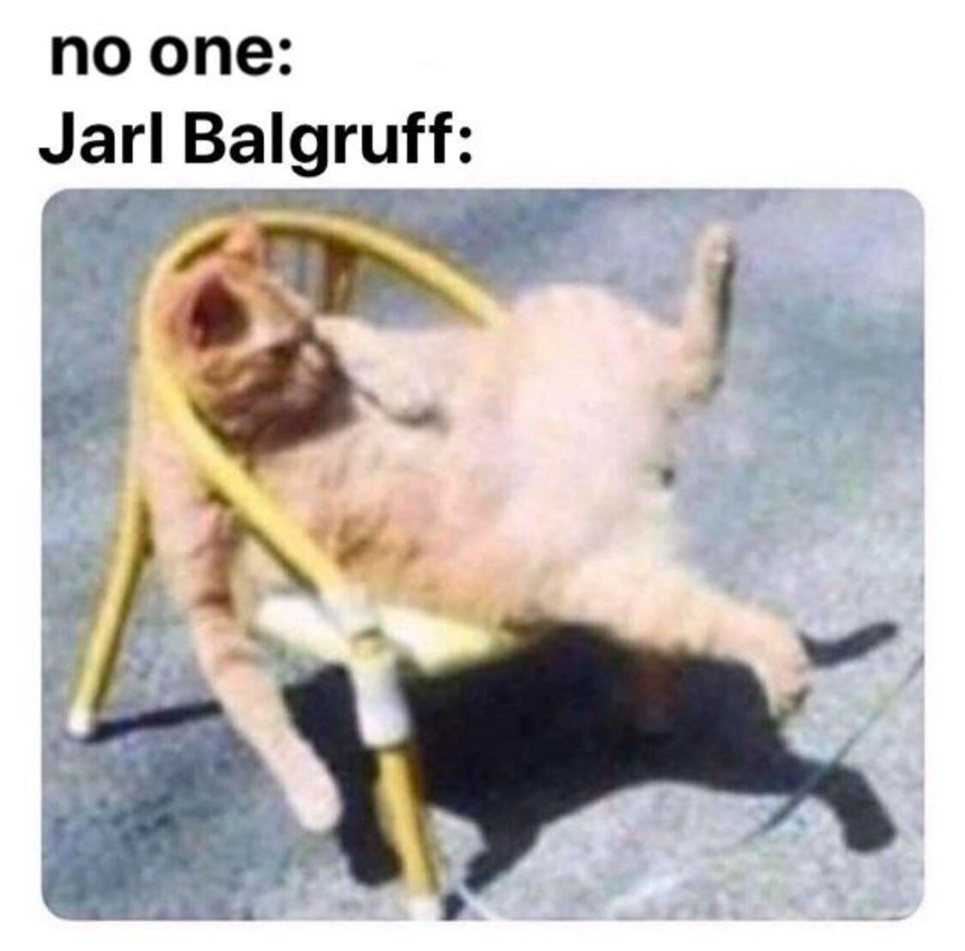 skyrim jarl balgruuf cat meme