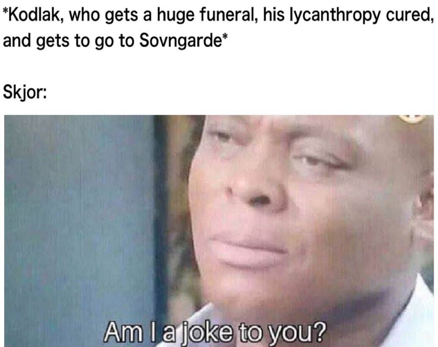 Skyrim Skjor and Kodlak meme