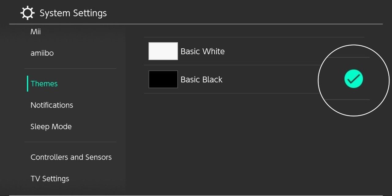 Settings and basic black screen on Nintendo Switch
