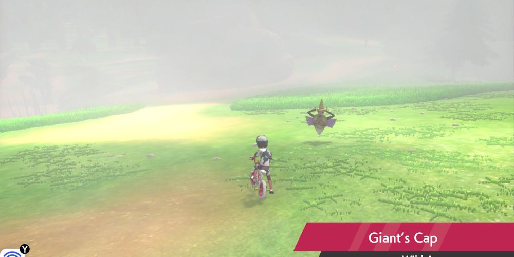 Wild Area Aegislash Sword Shield
