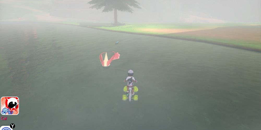 Wild Area Milotic Sword Shield