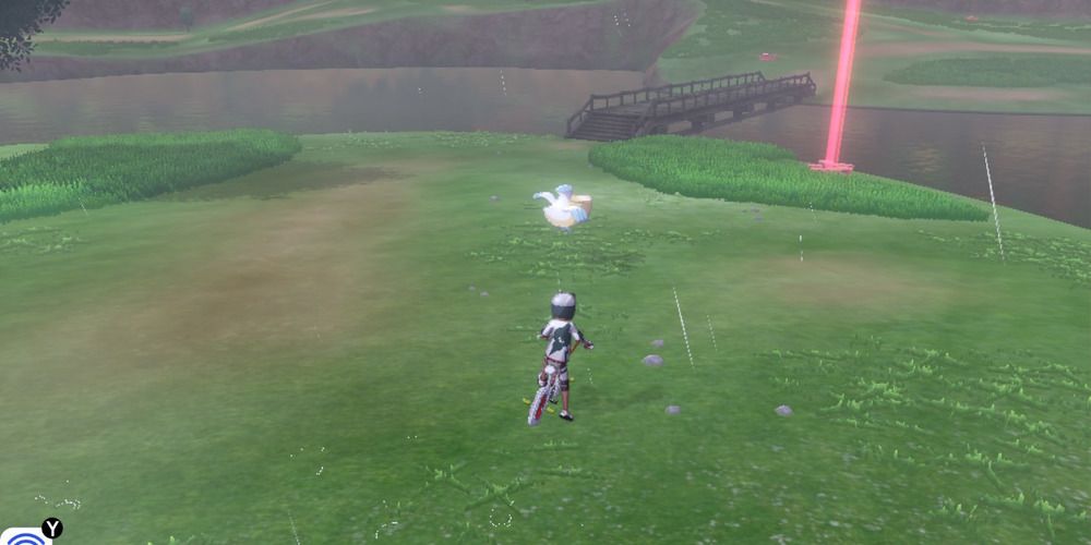 Wild Area Pelipper Sword Shield