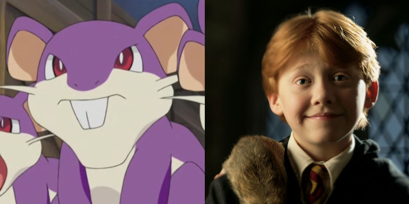 ron weasley rattata