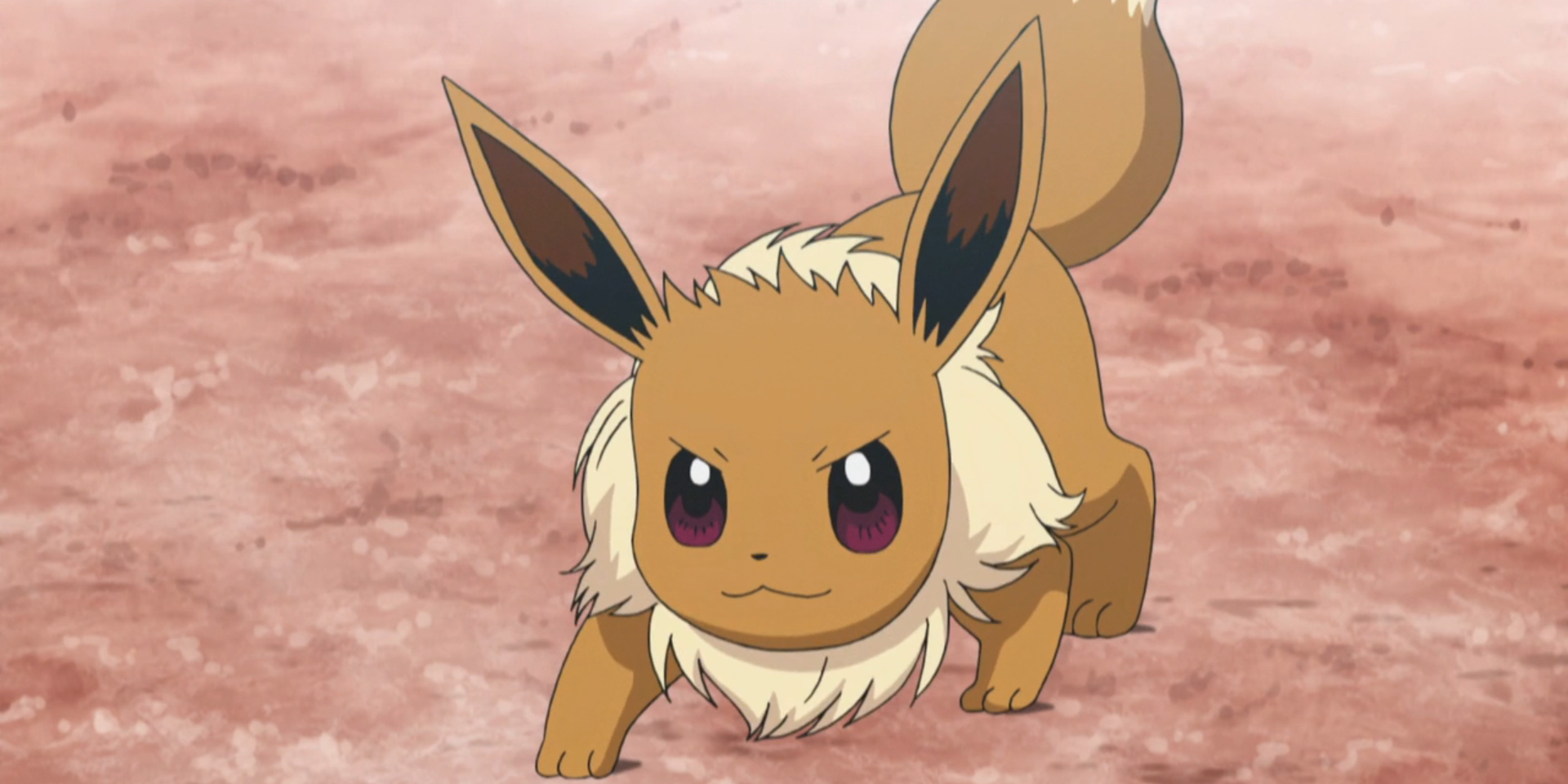 Ilima's eevee pokemon anime