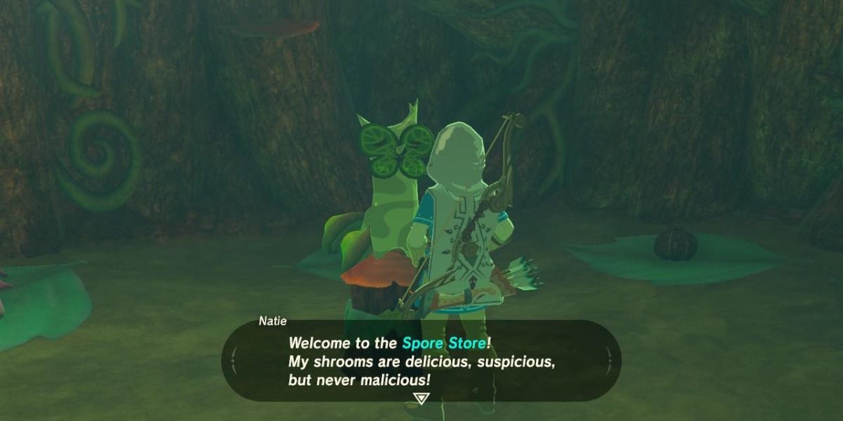 korok mushroom salesperson talks about his delicious shrooms
