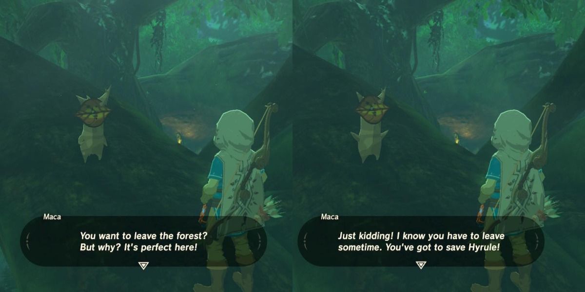Maca jokes with link about staying in korok forest forever