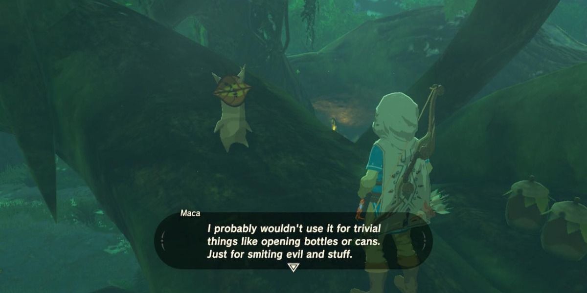 Maca giving Link advice on how to use the master sword