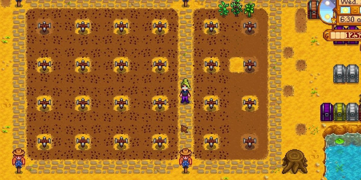 Farm with sprinklers in Stardew Valley