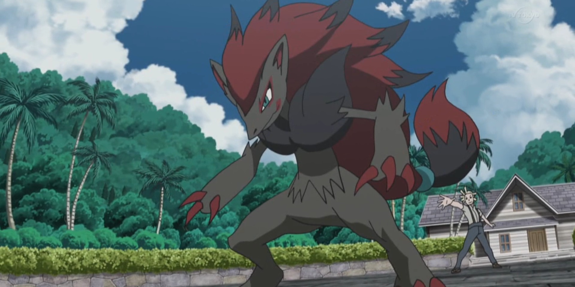 mohn's zoroark pokemon anime