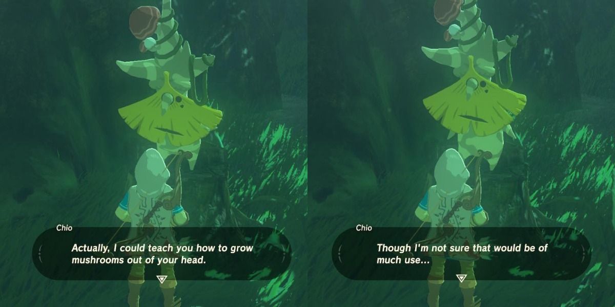 Chio tells link how to grow mushrooms out of his head
