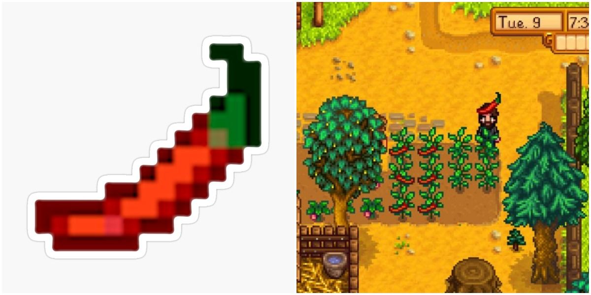 Hot Peppers crop in a farm Stardew Valley