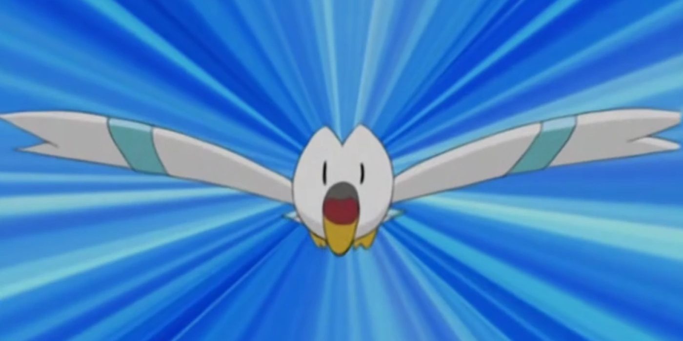 wingull