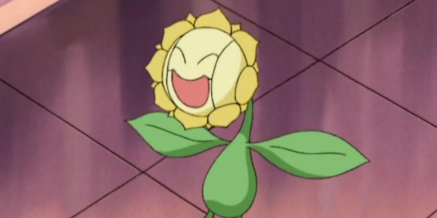sunflora