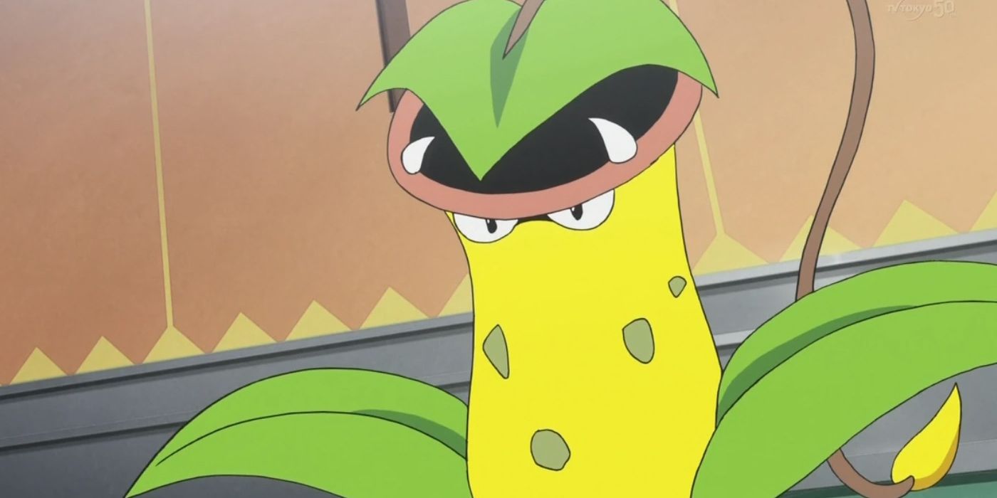 victreebel