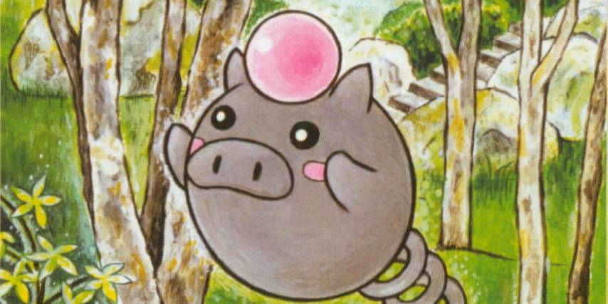 spoink pokemon card