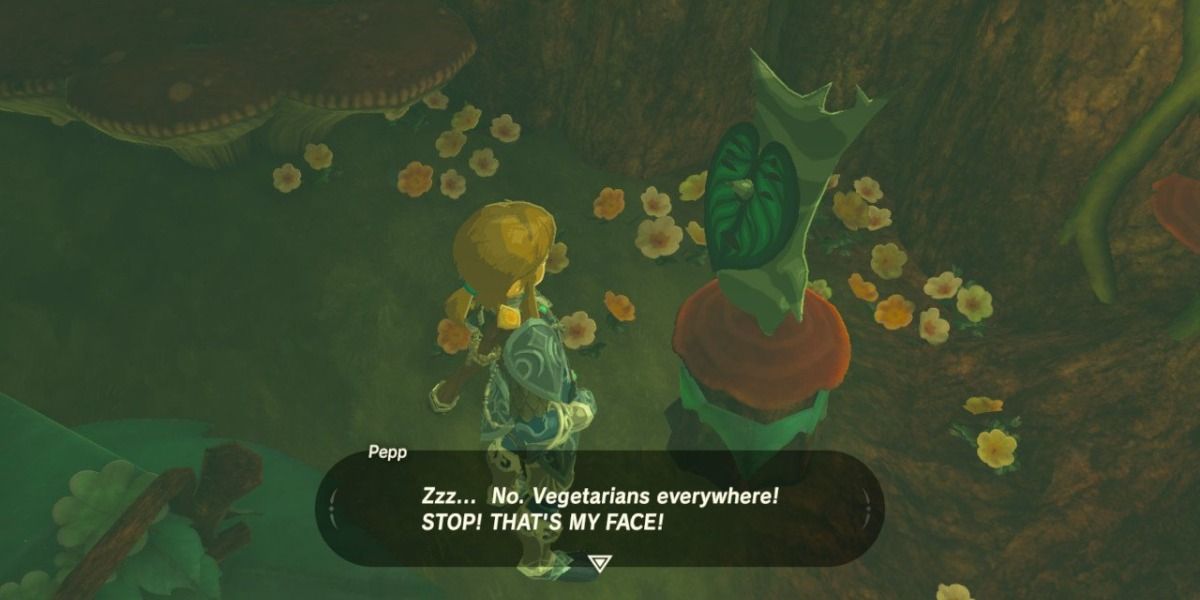 A photo of a korok in korok forest shop