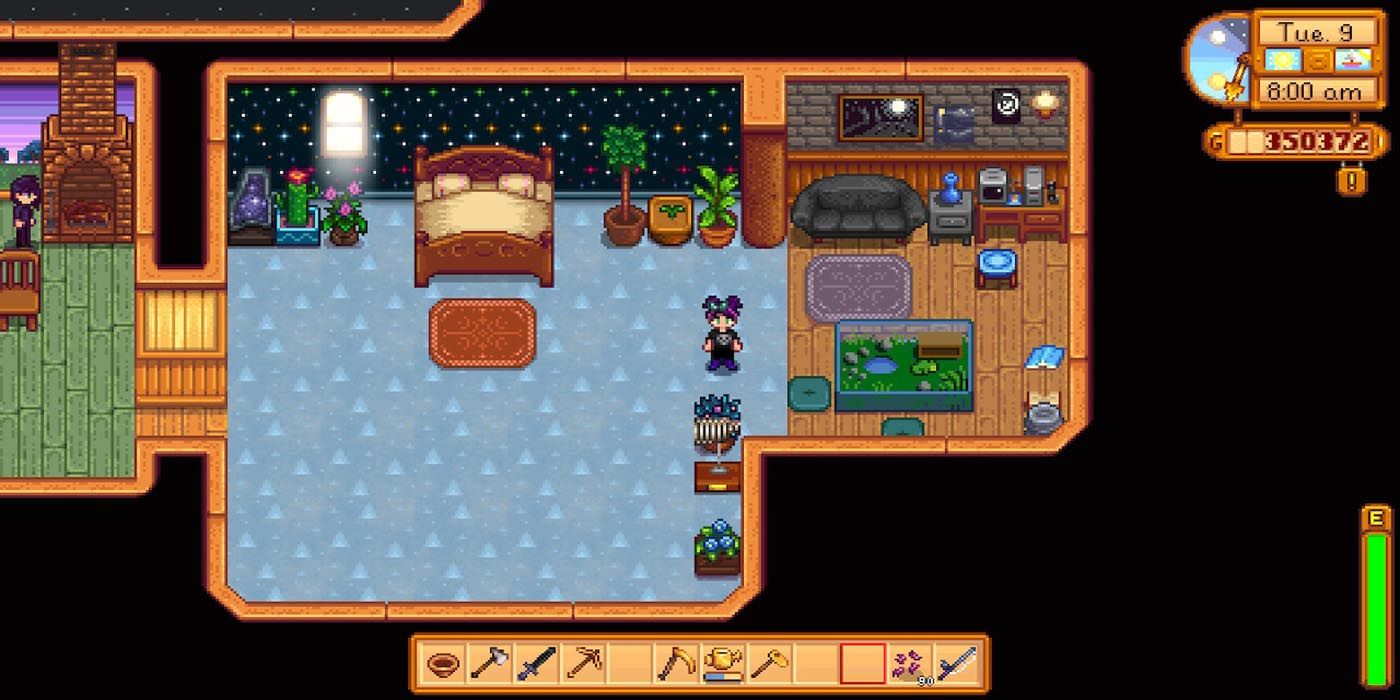 Blue Triangle Floor Stardew Valley