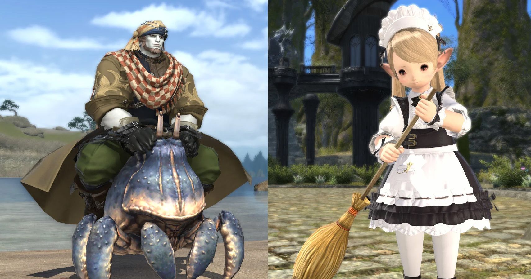 FFXIV Crab Mount Broom