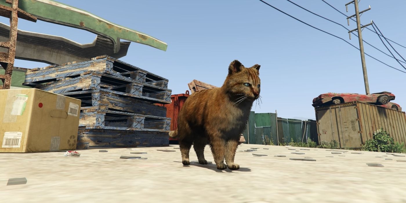 Grand theft auto 5 cat