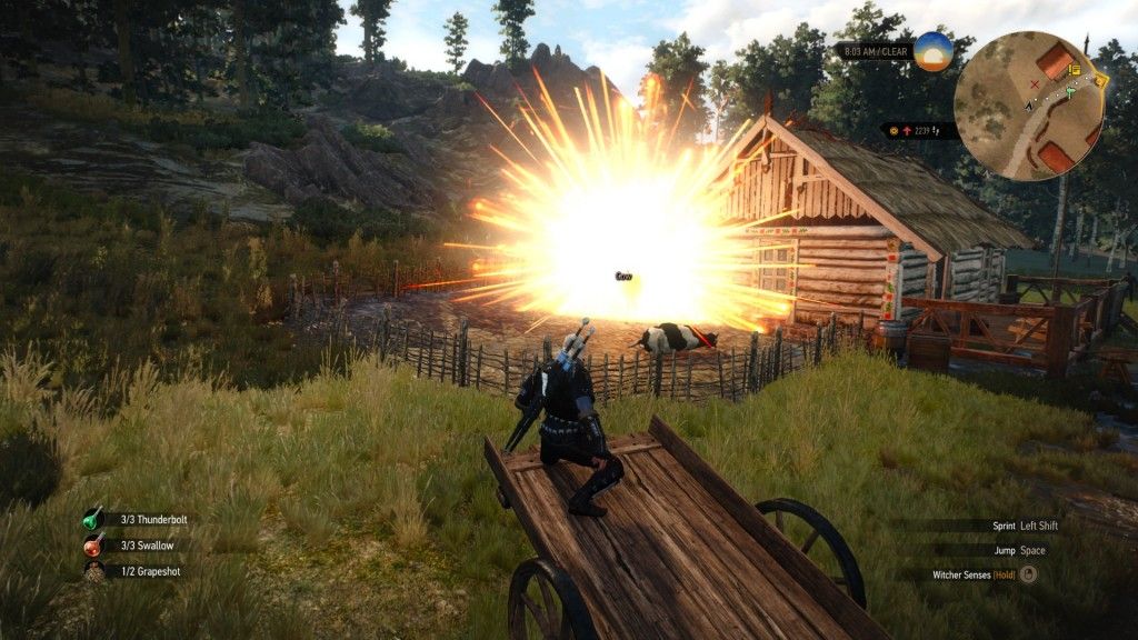 Grapeshot-bomb-explosion-Geralt-gameplay-the-witcher-3-gosunoob