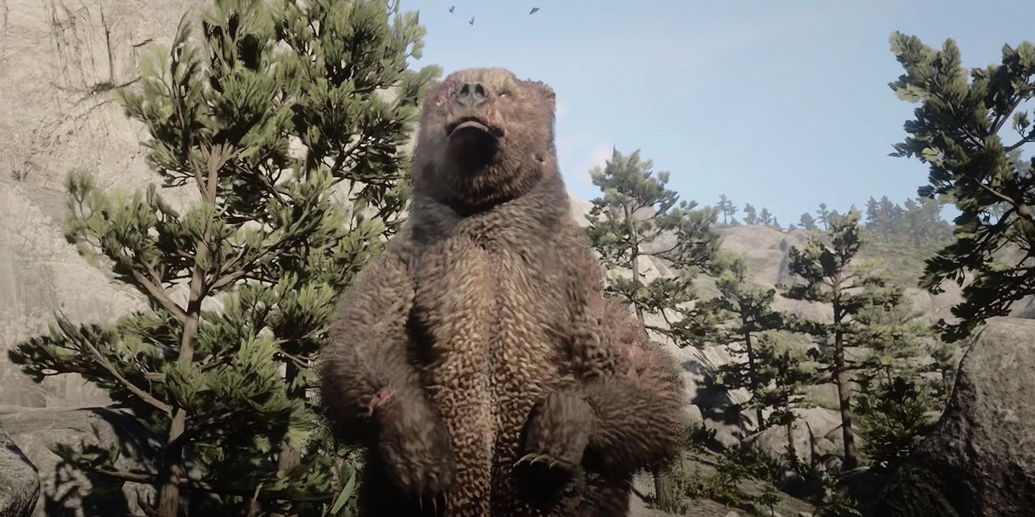 Bear About To Attack