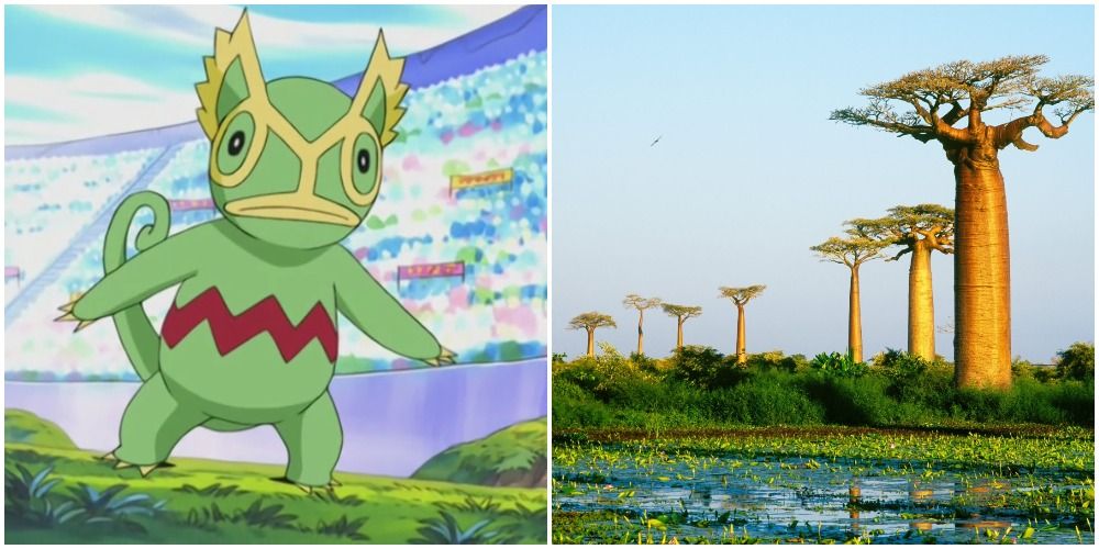 Madagascar and Kecleon