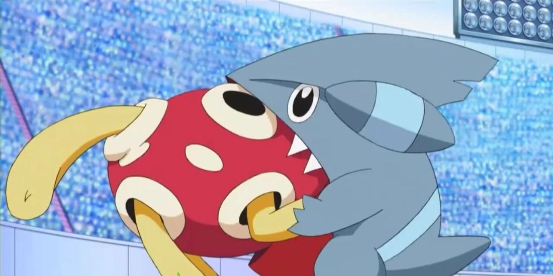 Shuckle being eaten by Gible in the Pokemon anime
