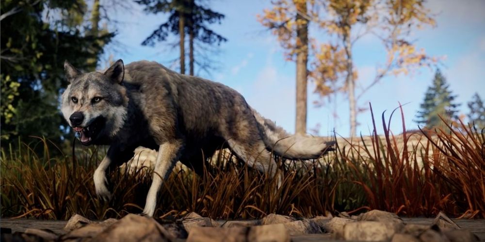 A high definition skin for the wolves in Rust