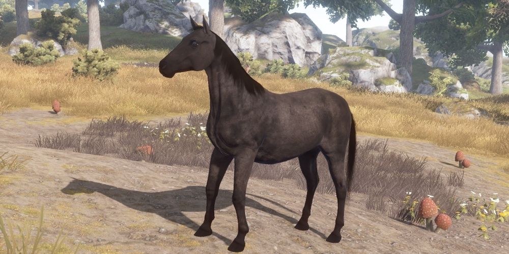 A black horse from Rust