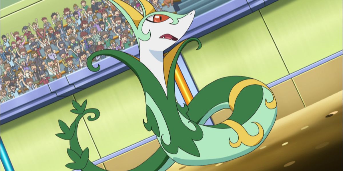 Serperior Pokemon League, Pokemon Anime