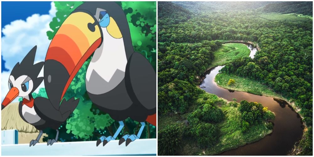 Toucannon, Trumbeak, and the Amazon Rainforest in Brazil