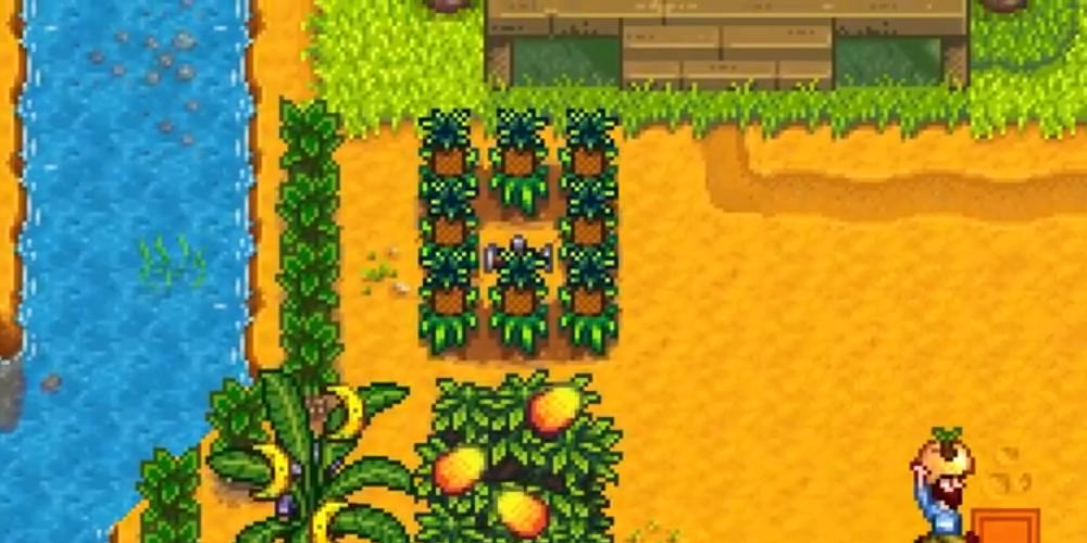 Pinapple