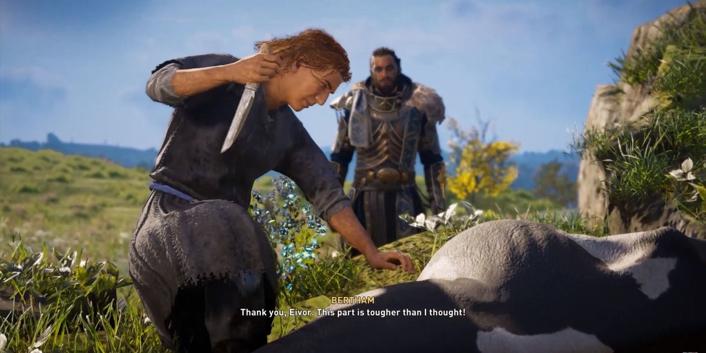 Cow Catcher quest in Assassin's Creed Valhalla