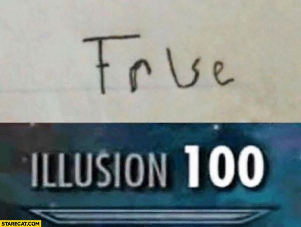 illusion meme