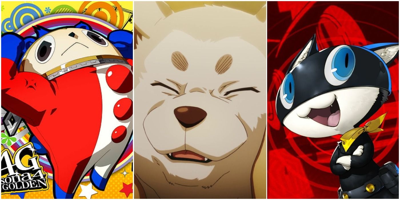 From left to right: official Teddie artwork for Persona 4: The Golden, Koromaru in Persona 3: The Movie and Morgana in a Persona 5 trailer