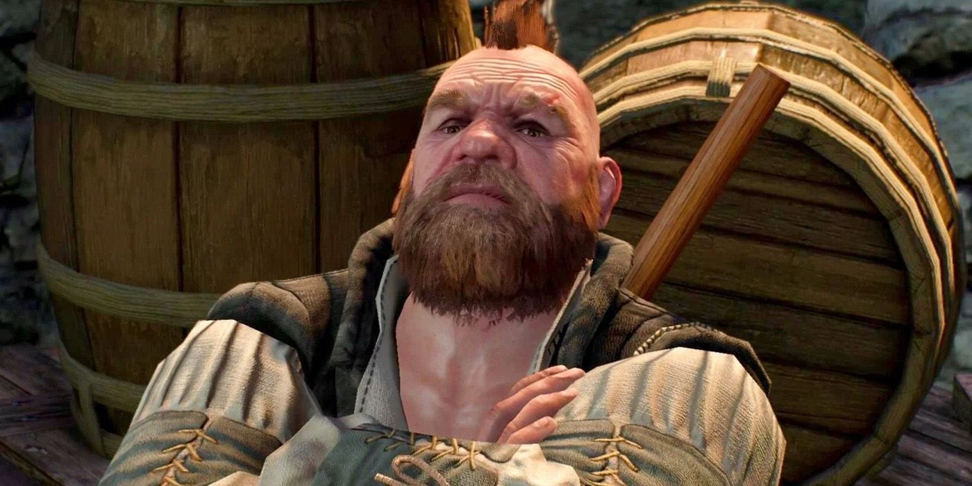 witcher zoltan