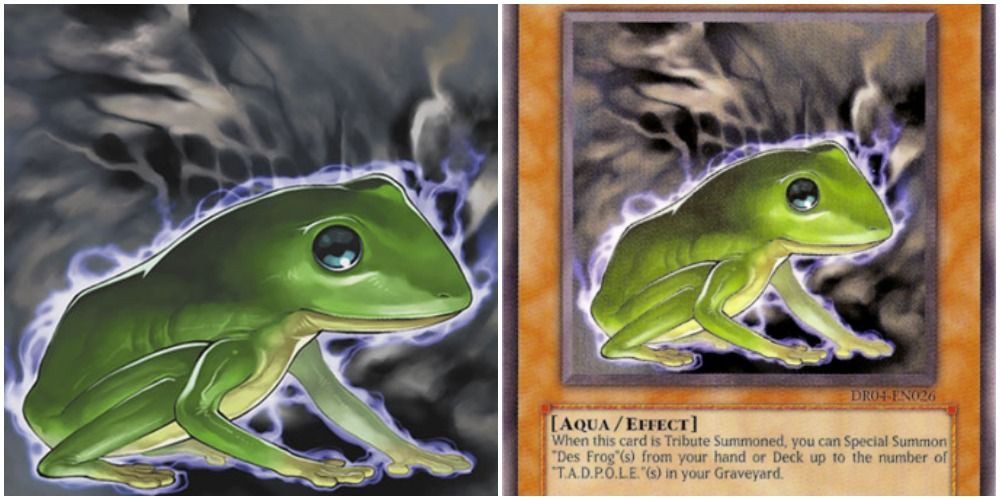 des frog art and text
