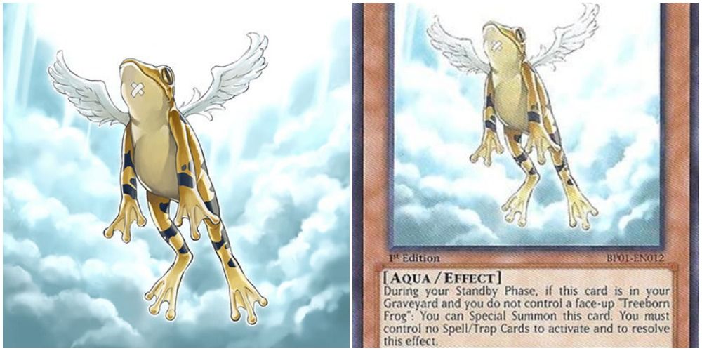 treeborn frog art and text