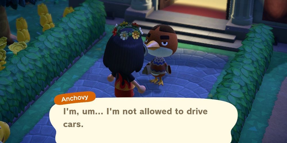 Animal Crossing New Horizons Anchovy