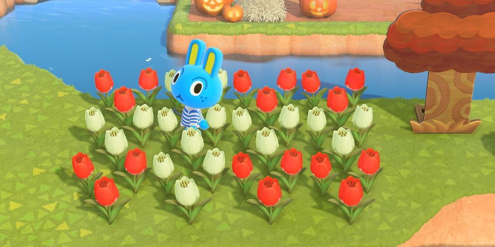 Animal Crossing New Horizons Hopkins