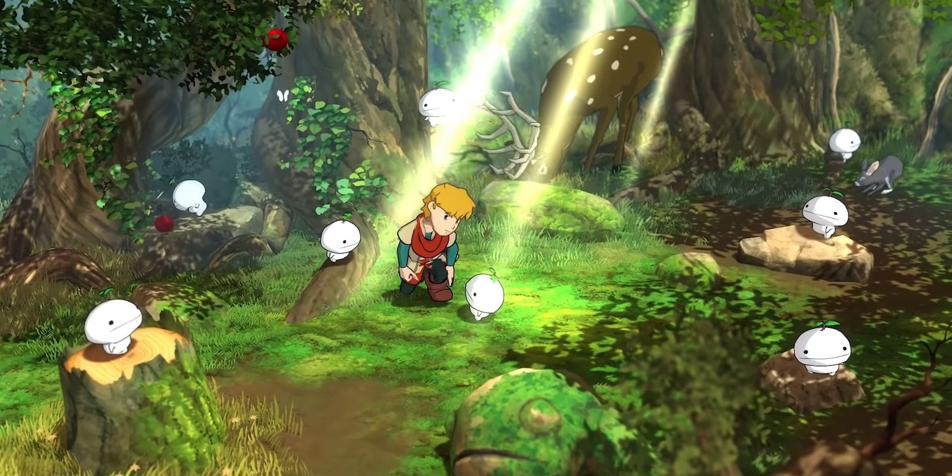 Baldo Forest