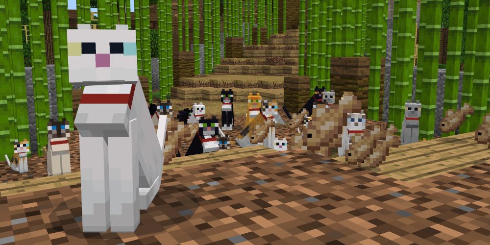 Minecraft Cats and Bamboo