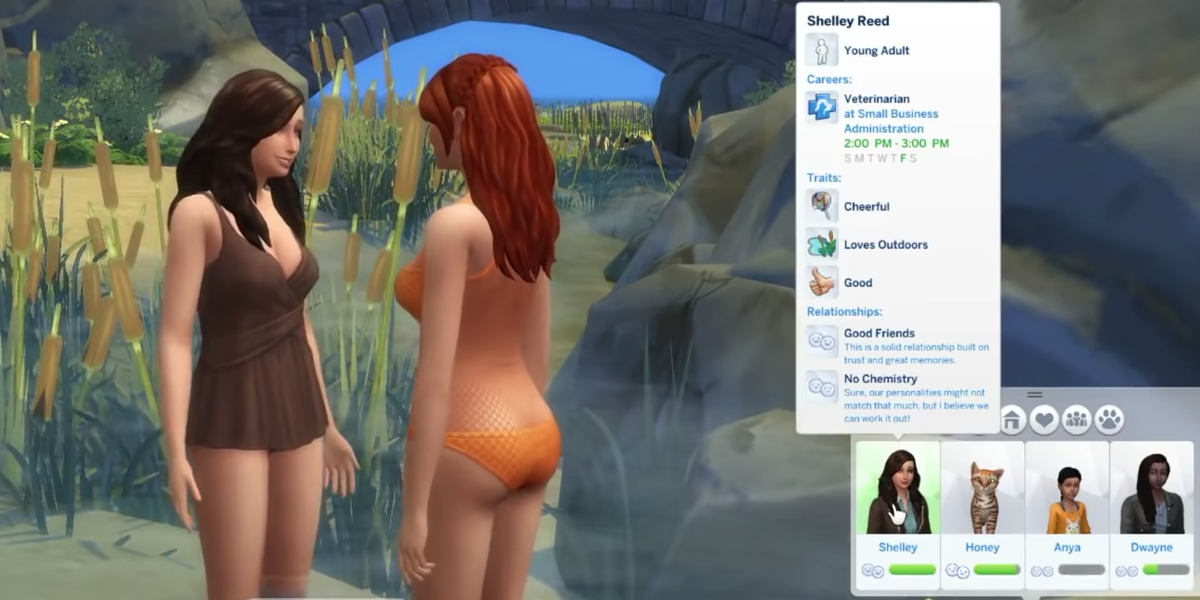 Two Sims talking with a "no chemistry" notification beside them.