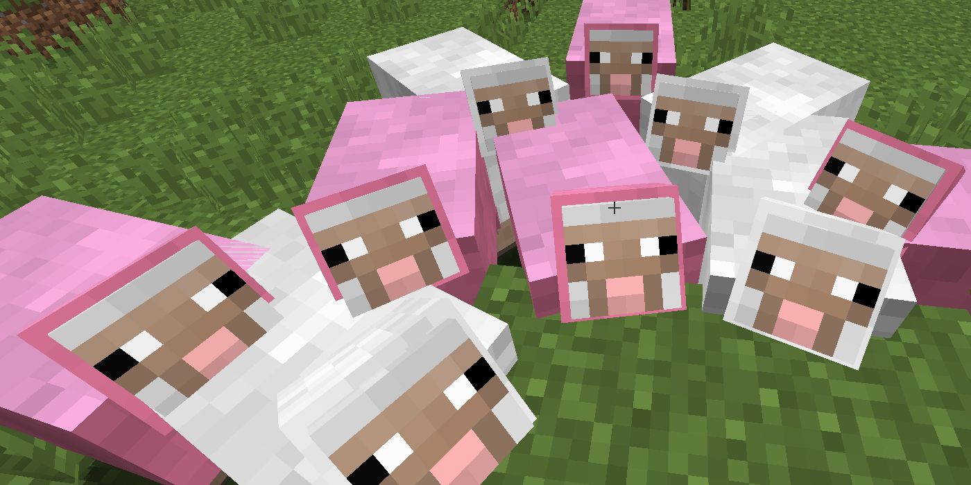 Sheep in MInecraft