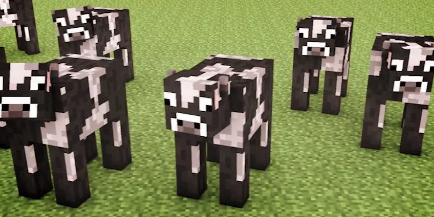 Cows in Minecraft