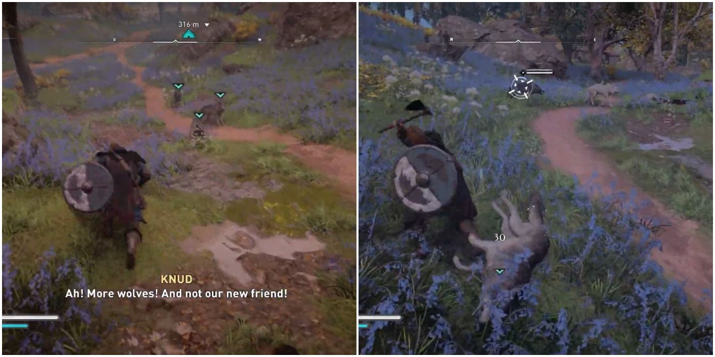 Kill the wolves in A Little Problem in Assassin's Creed Valhalla