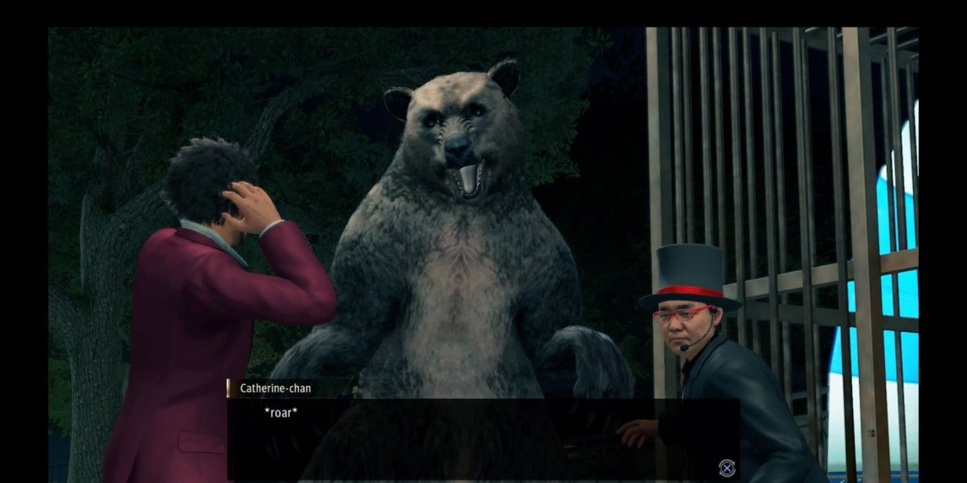Fighting a bear